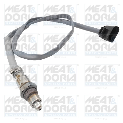Oxygen Sensor